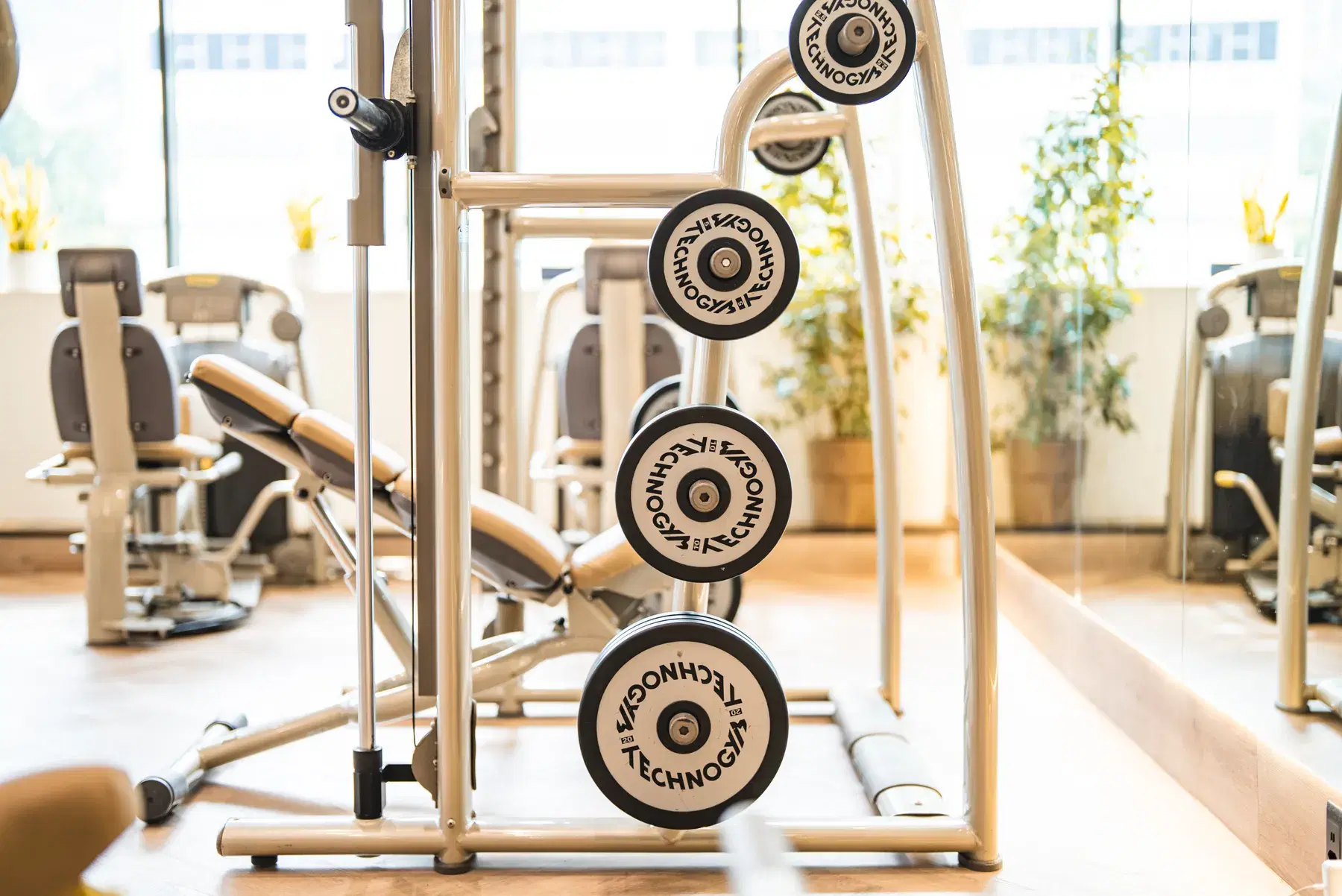 The barbell rack in the WellNest gym