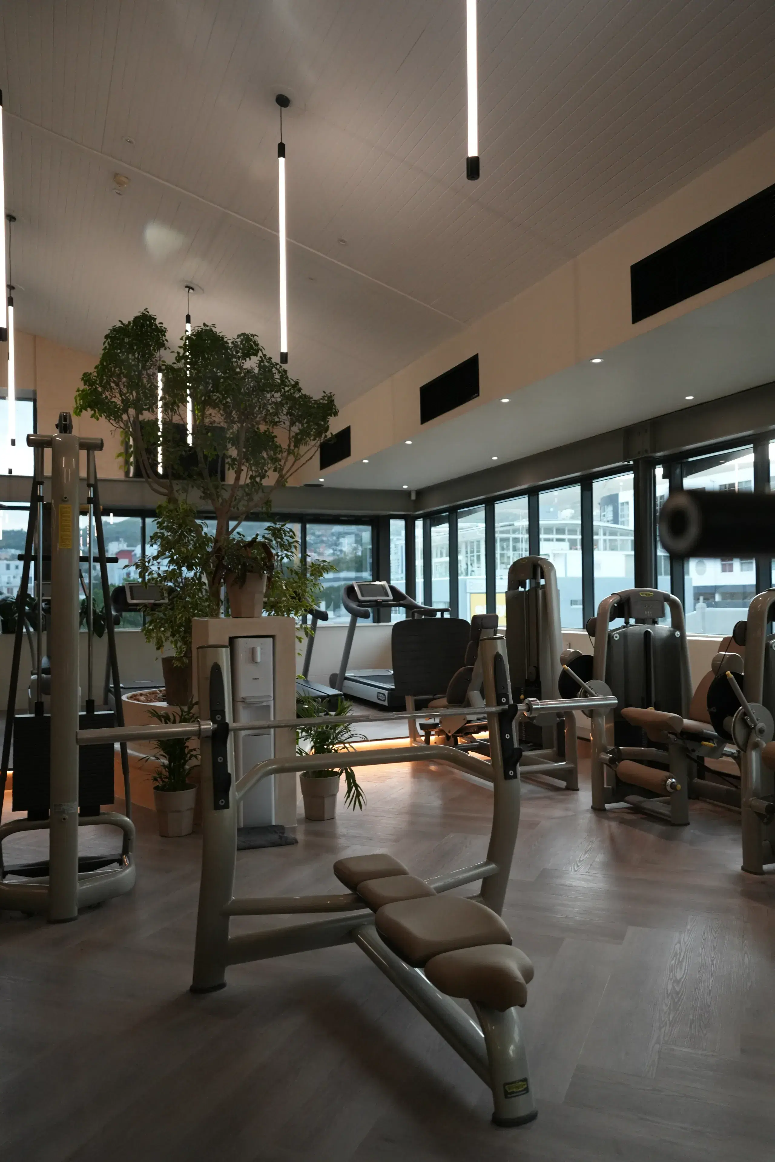 Gym Space