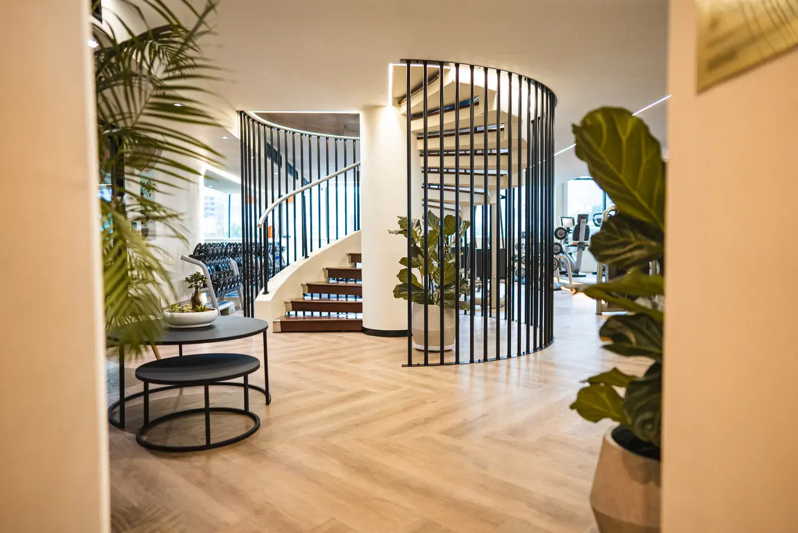 Baseline 360 Health & Longevity Assessment