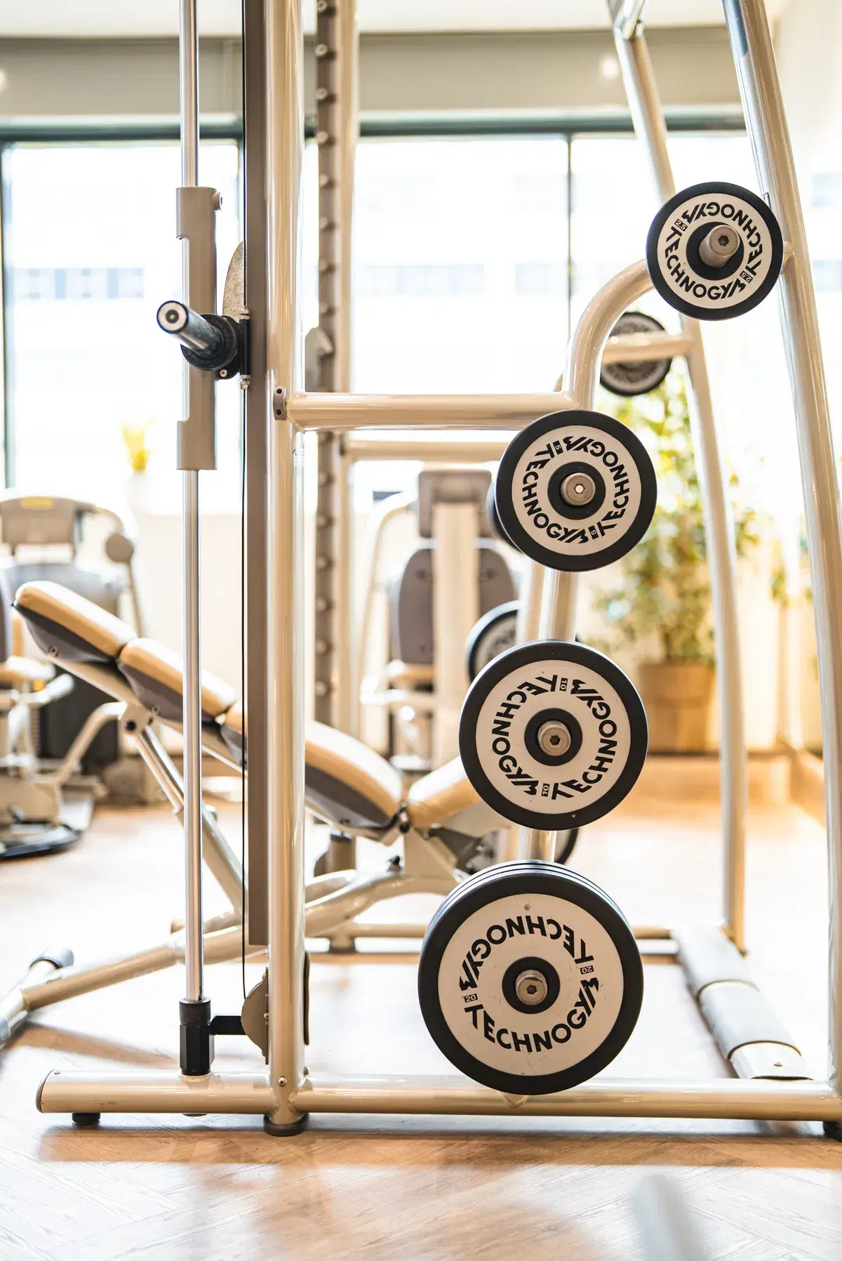Weight plates stacked on a rack in the WellNest Gold gym, Cape Town