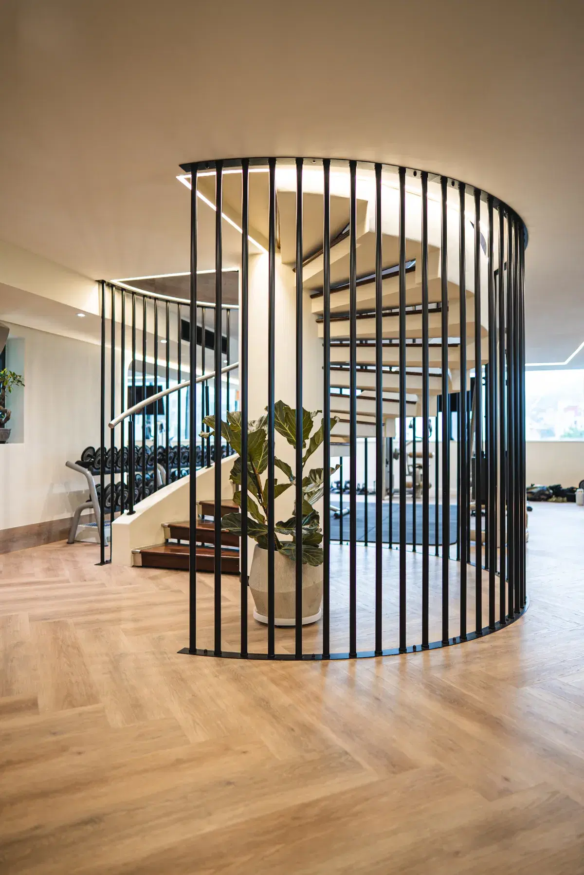 A spiral staircase with black railings in the WellNest Gold gym, Cape Town