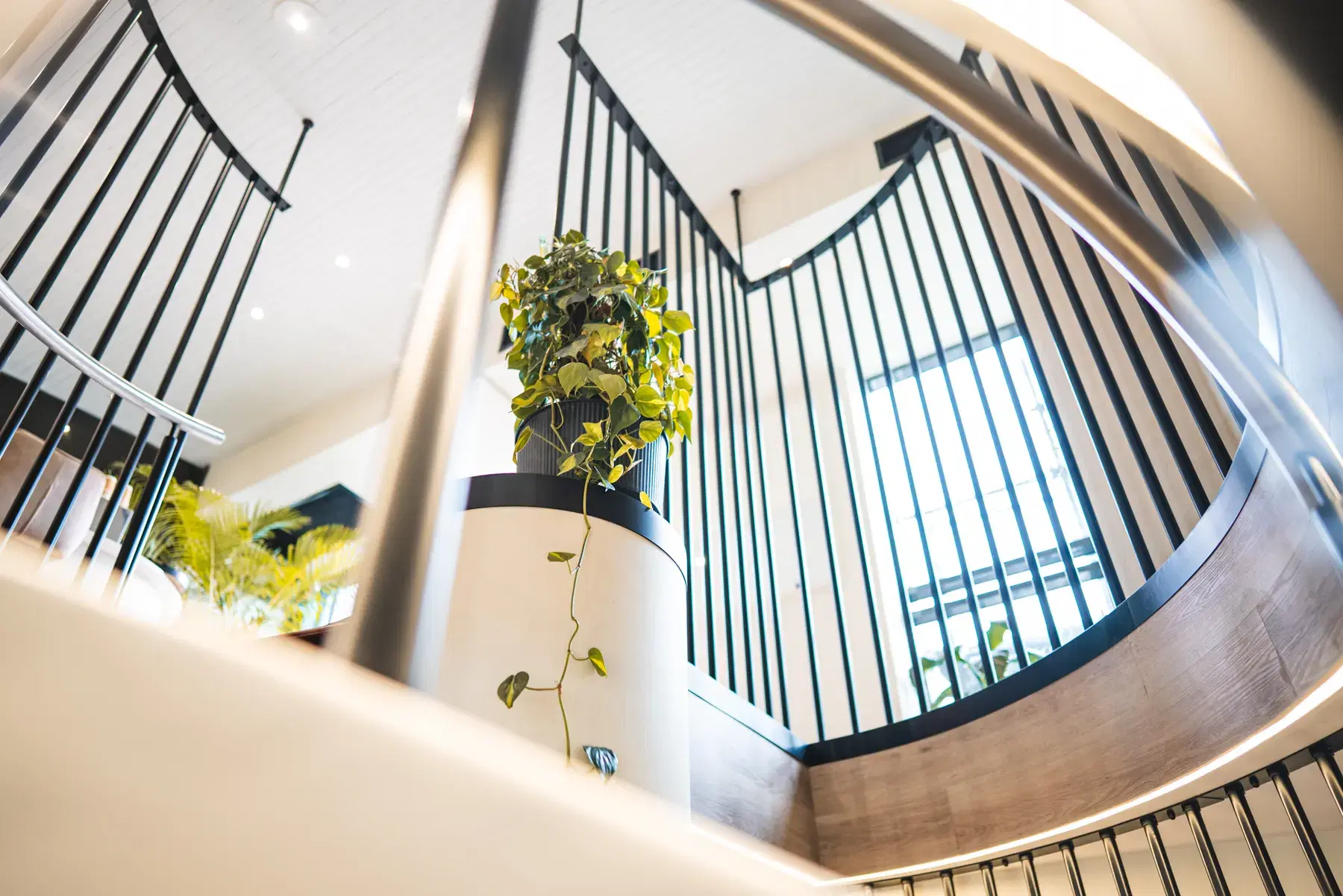 The spiral staircase at the WellNest Gold clinic on Bree Street, Cape Town
