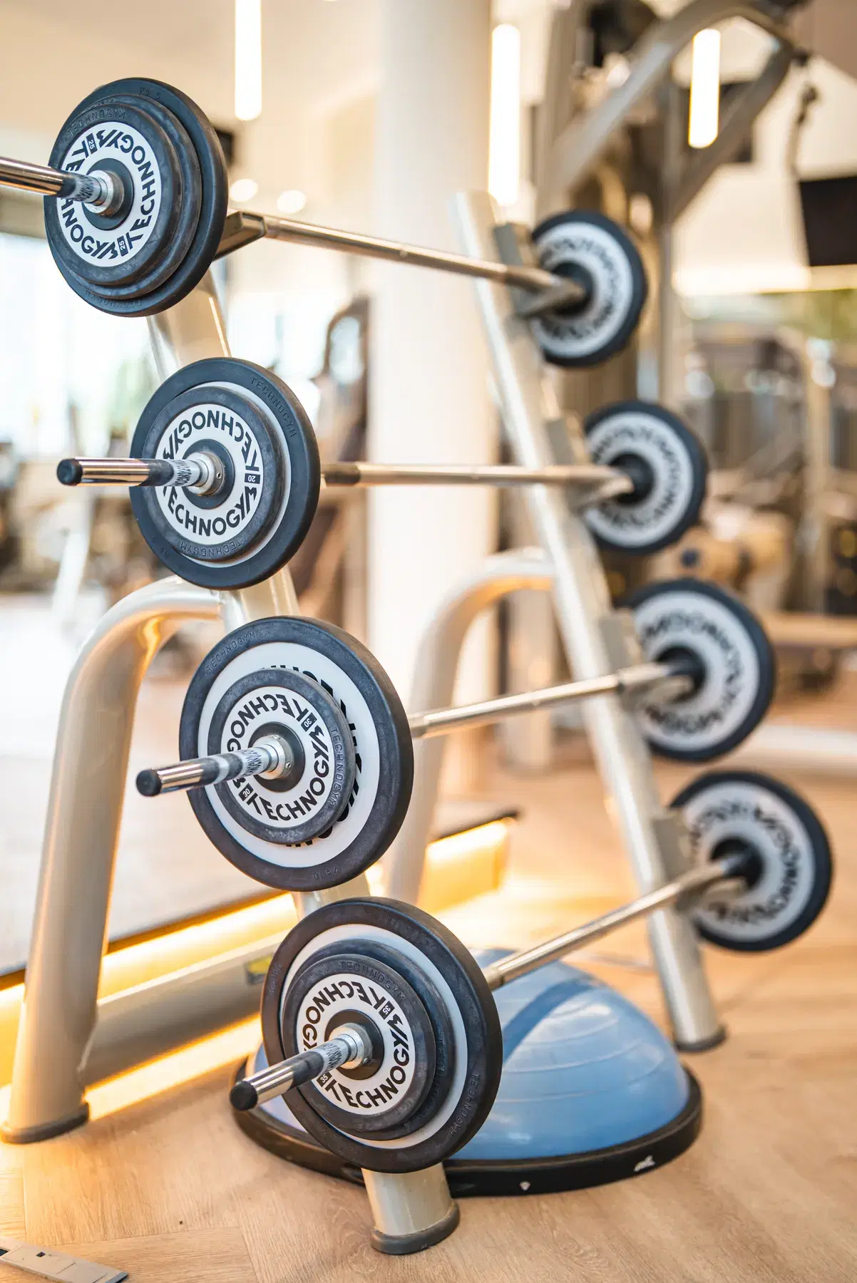 Loaded barbells on a rack at the WellNest gym