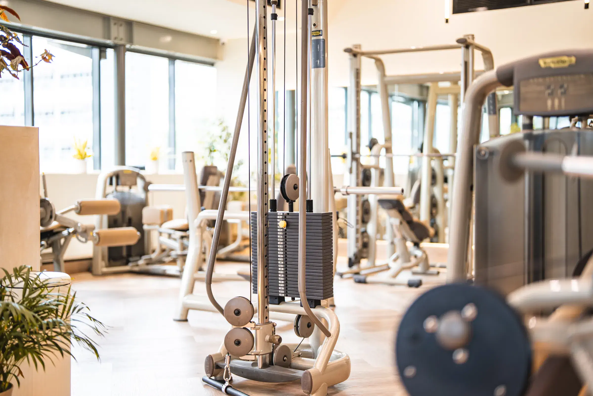 Cable machine and strength equipment on the WellNest gym floor