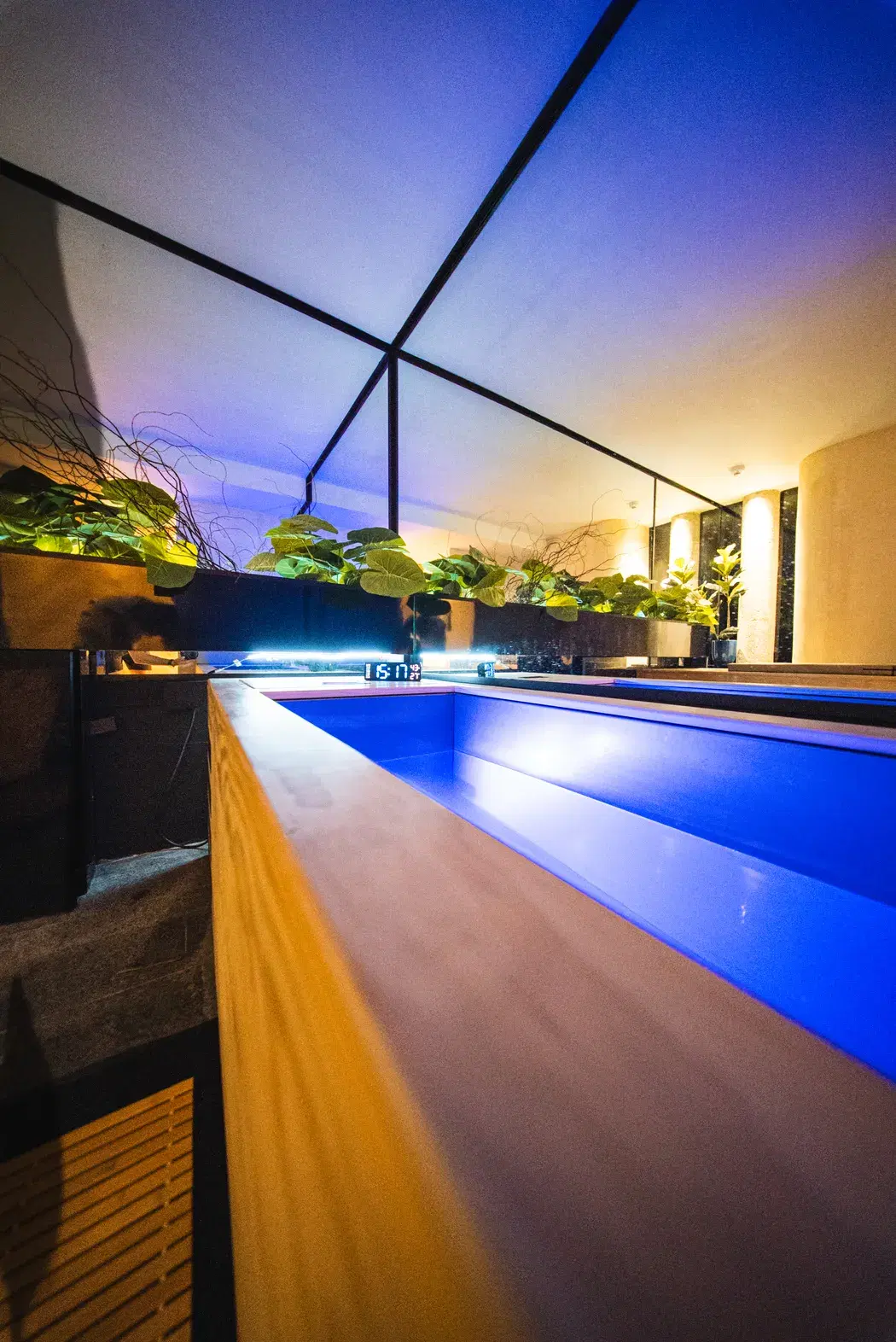 A cold plunge bath lit blue in the WellNest contrast therapy room