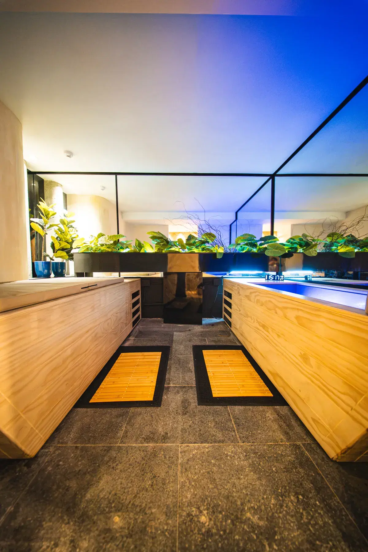 The WellNest contrast therapy room, with plunge baths either side of the walkway