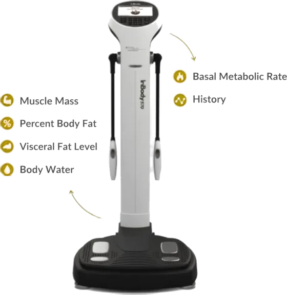 An InBody body composition analyser, labelled with the readings it takes: muscle mass, body fat percentage, visceral fat, body water and basal metabolic rate