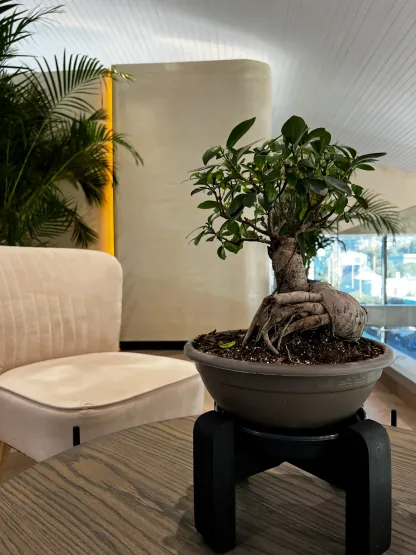 Seating in the cafe area at WellNest Gold, Cape Town