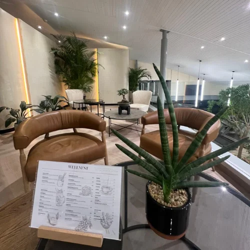 Wellness business lounge at WellNest Gold, Cape Town